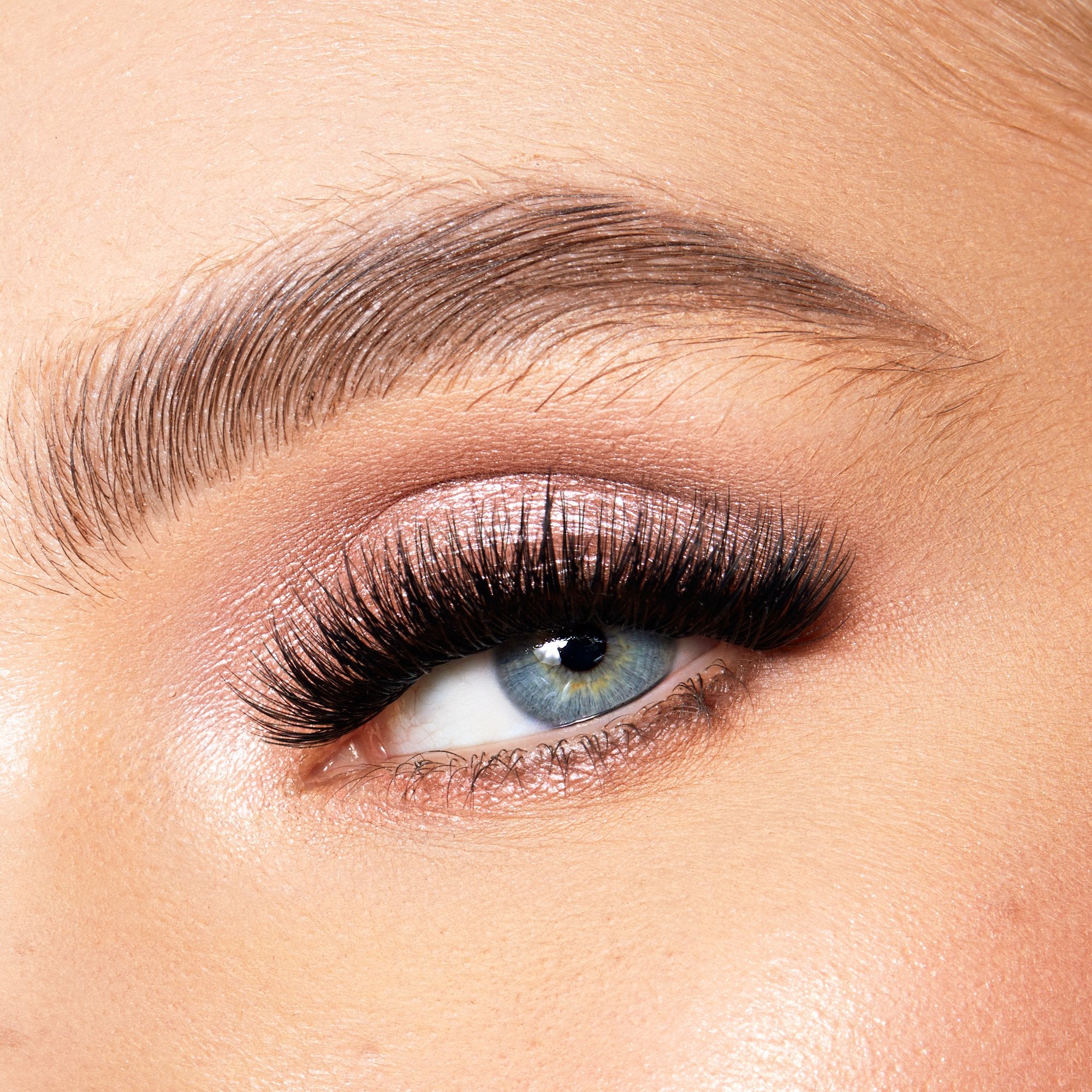 Lace it Up Vegan Segment Lashes Starter Kit