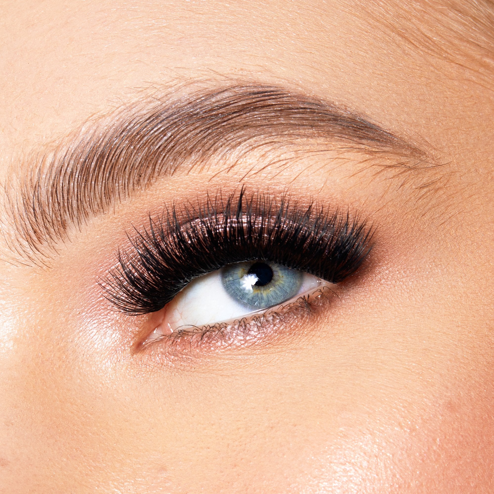 Lace it Up Vegan Segment Lashes Starter Kit