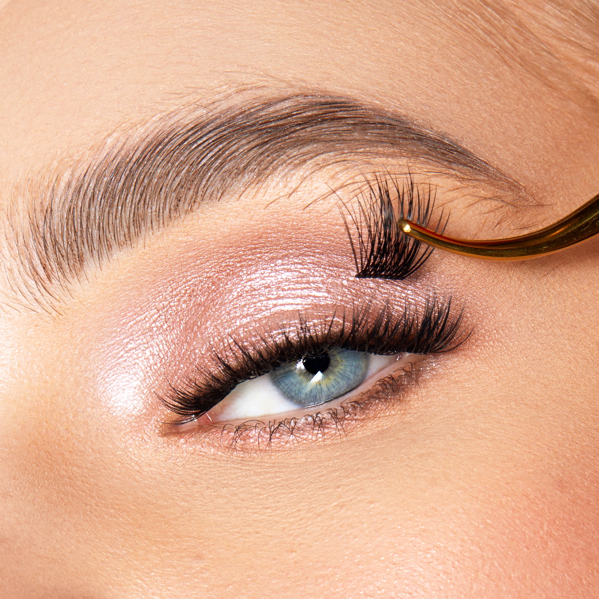 Lace it Up Vegan Segment Lashes