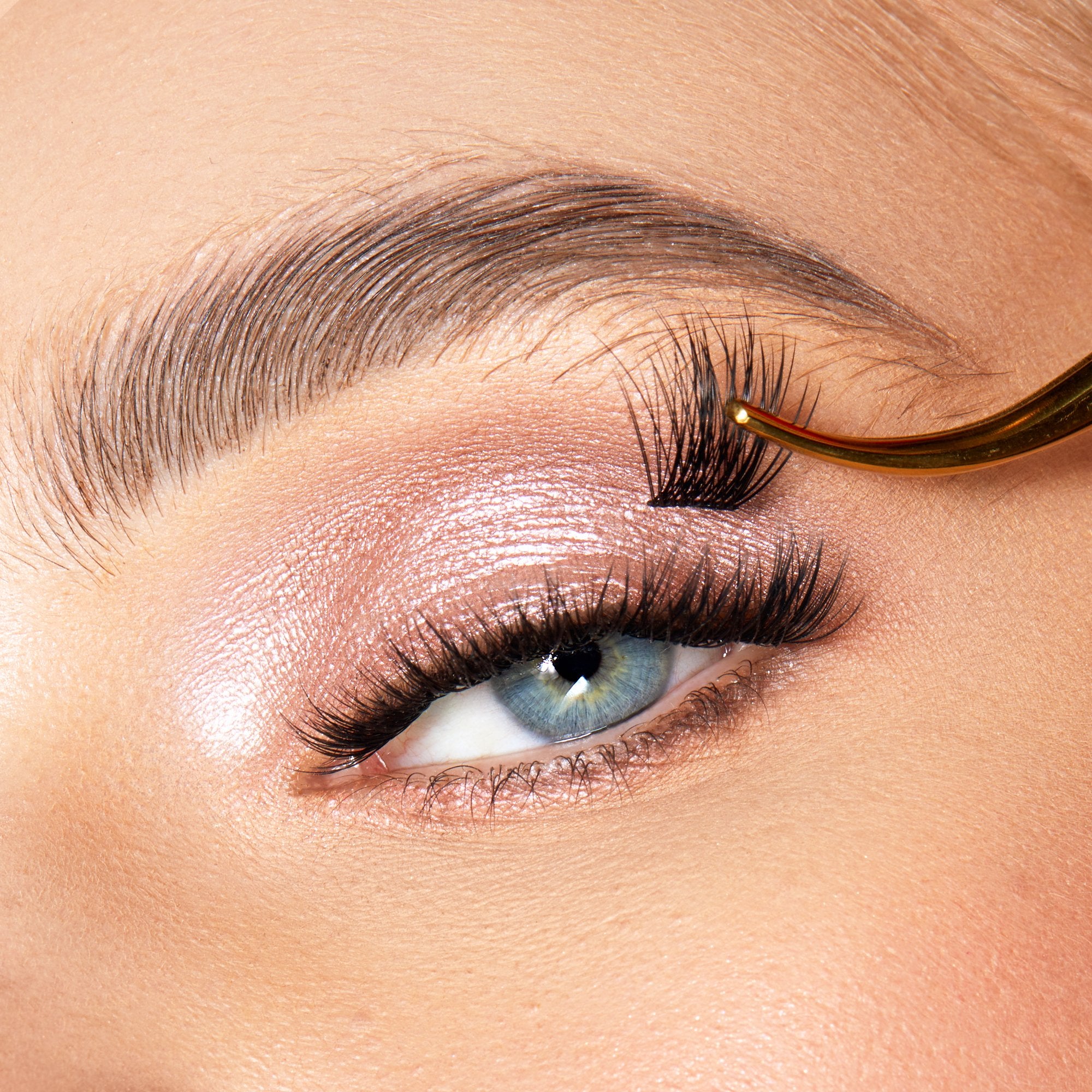 Lace it Up Vegan Segment Lashes Starter Kit