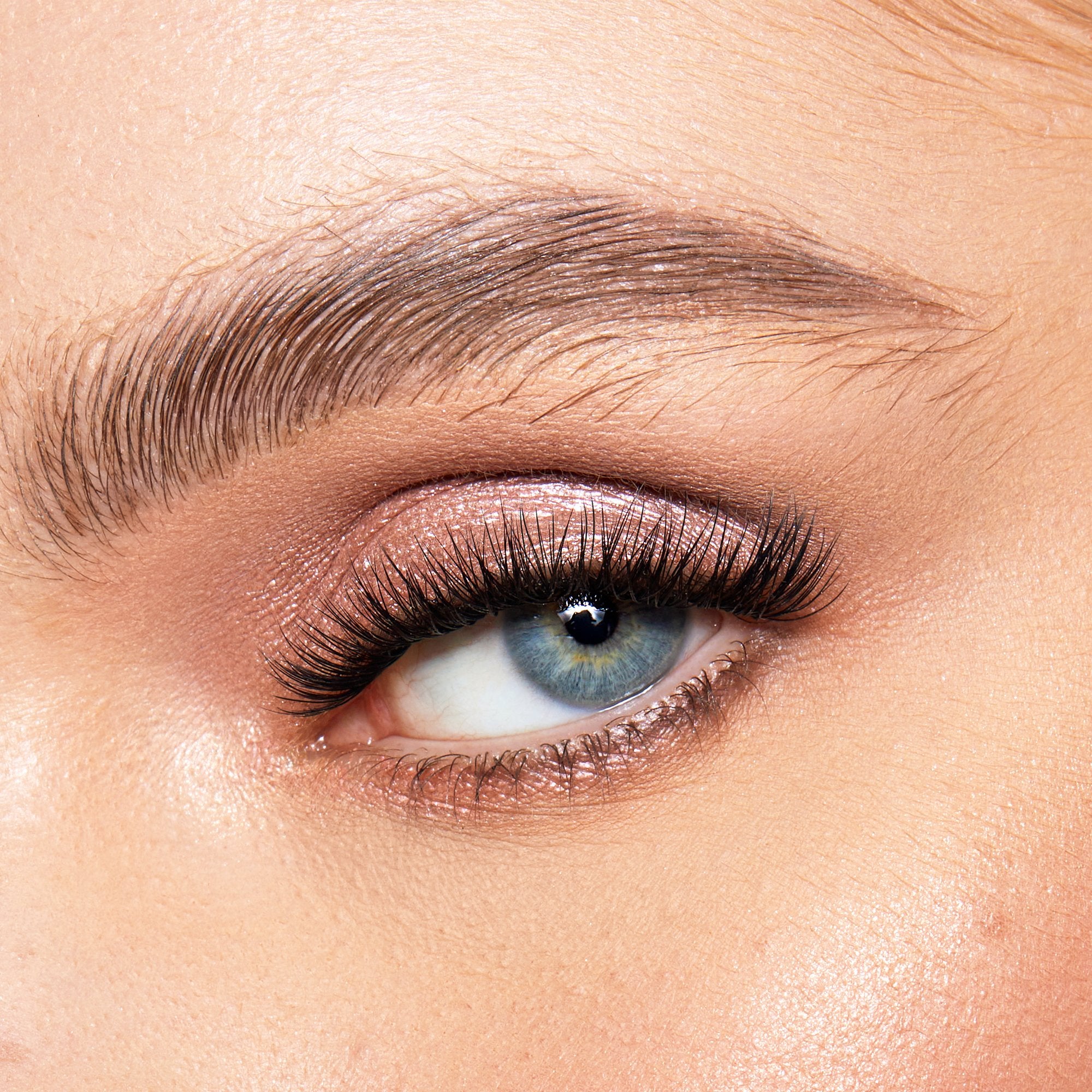 Lace it Up Vegan Segment Lashes Starter Kit
